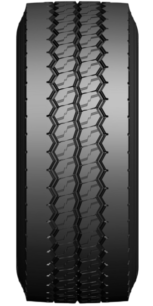 Adobe Express - file (16)